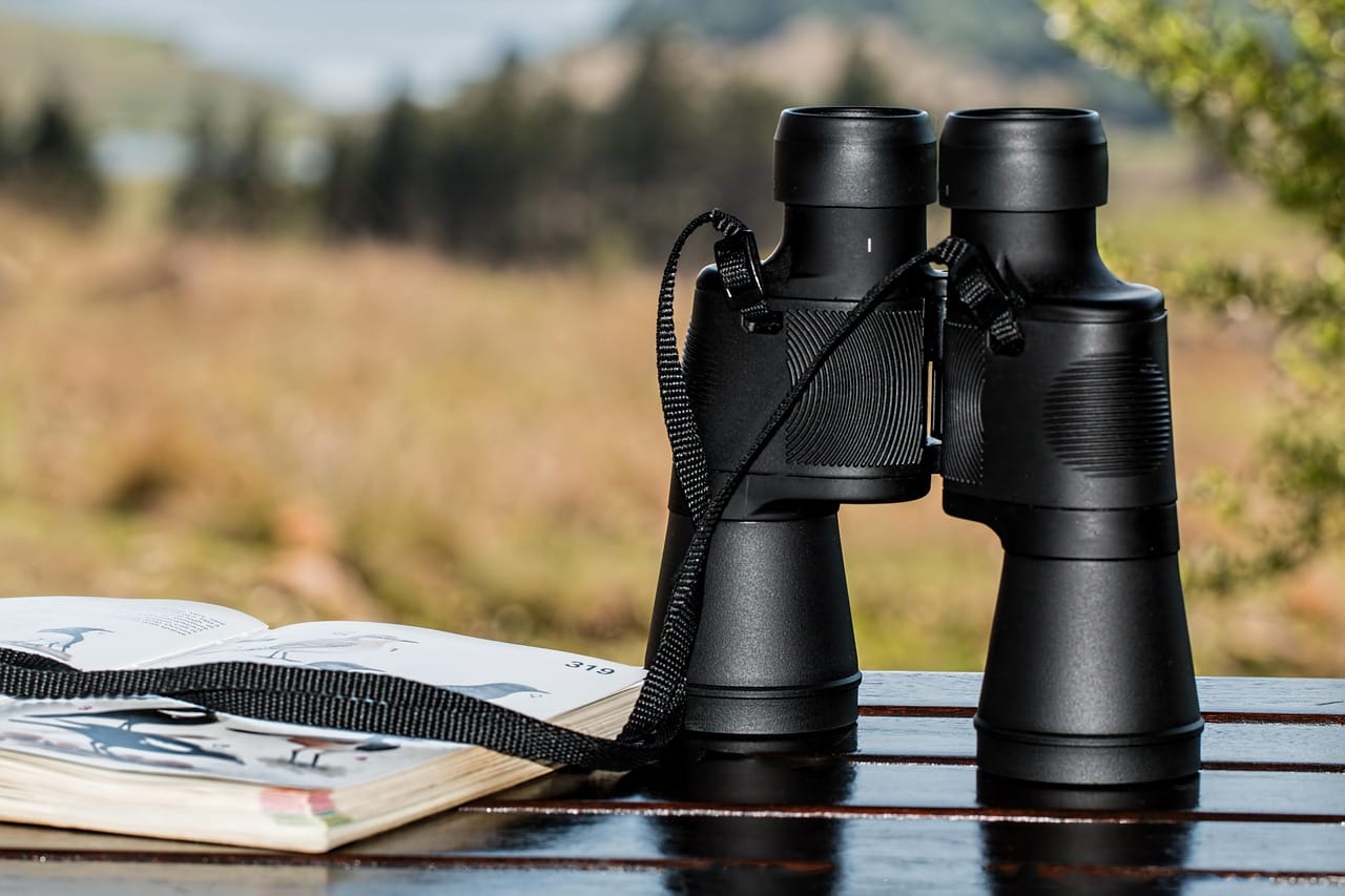 Binoculars at the birdwatchers' hut. They have counted these birds every October for twenty years.