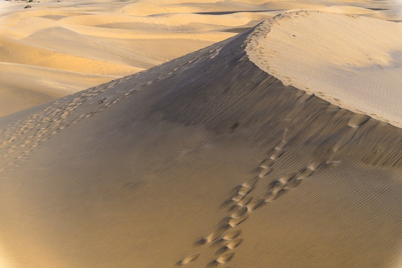 Footprints on the ridge. By the next morning, the wind had erased them.