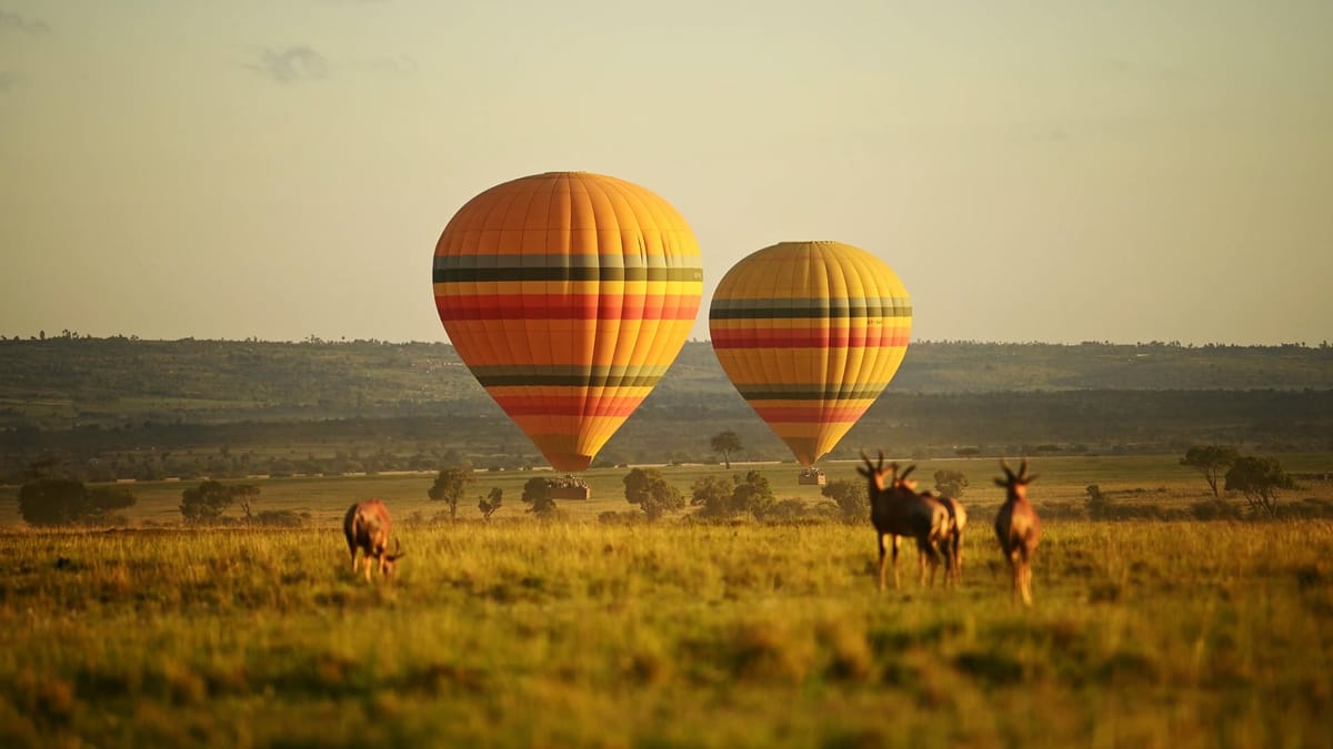 Balloons over the plain at sunrise