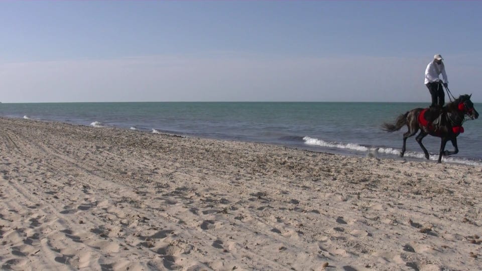 A rider on the winter beach