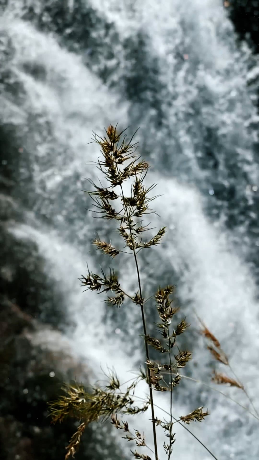 In the spray